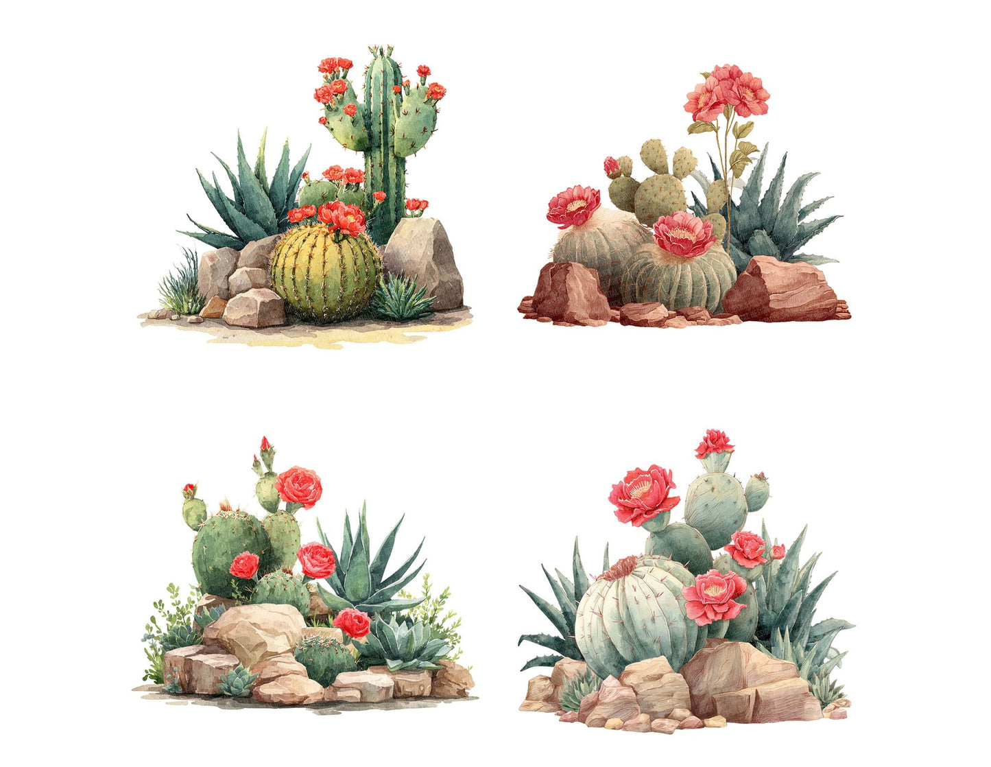 Barrel Cactus Desert Flowers Clipart Set (DDD004651)