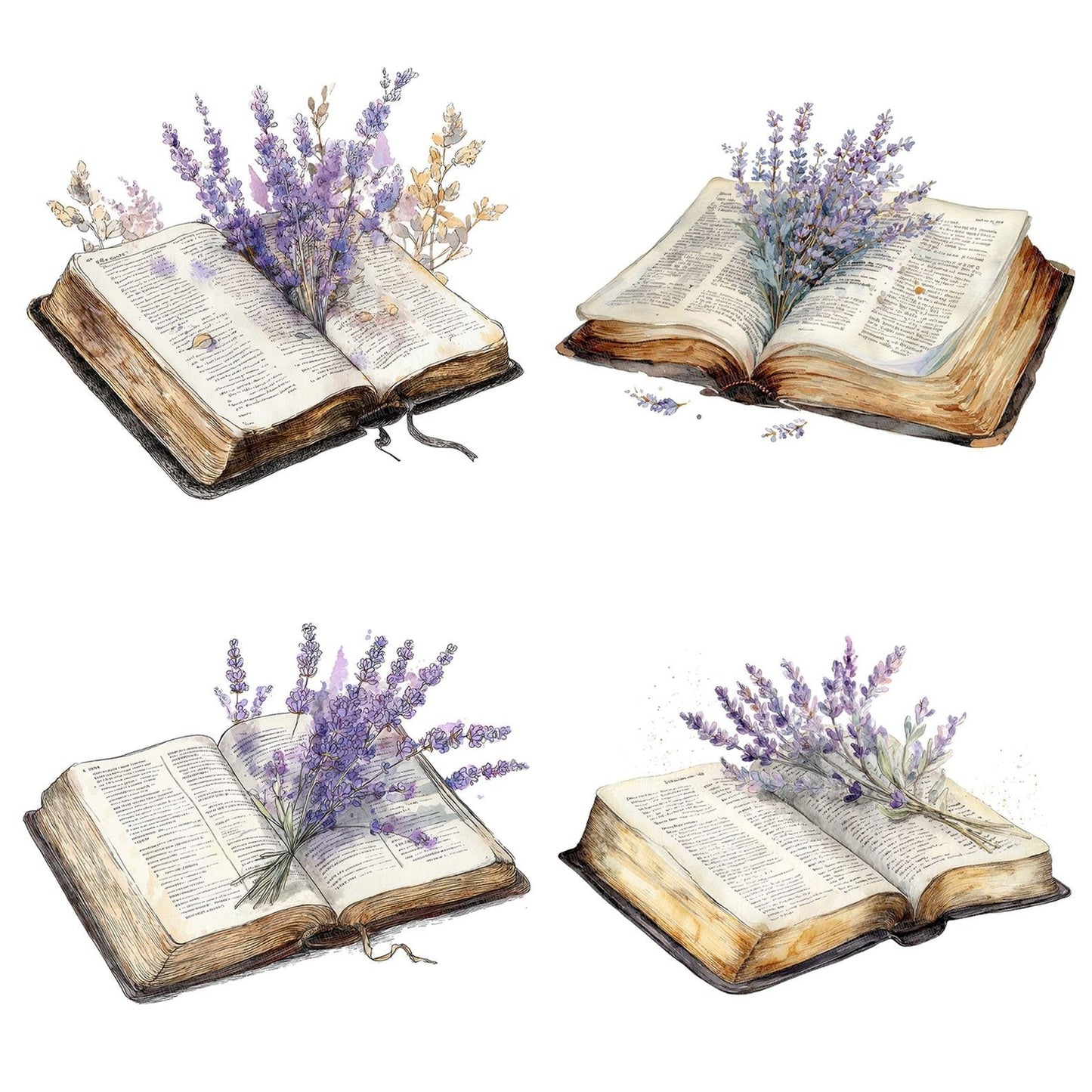 Bible Lavender Clipart Set (DDD004672)