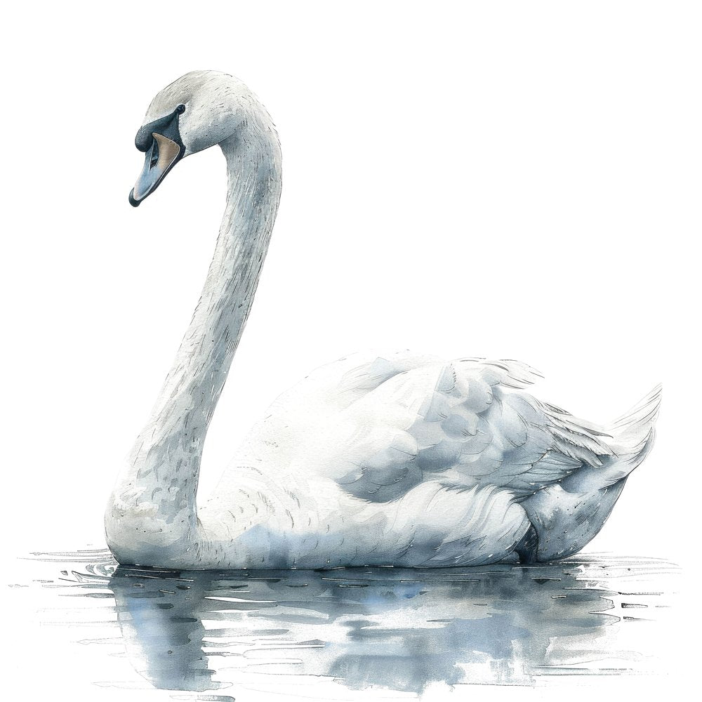 Graceful Swan Clipart Set (DDD005743)