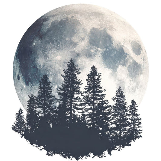 Moon Forest Silhouette Clipart Set (DDD006091)