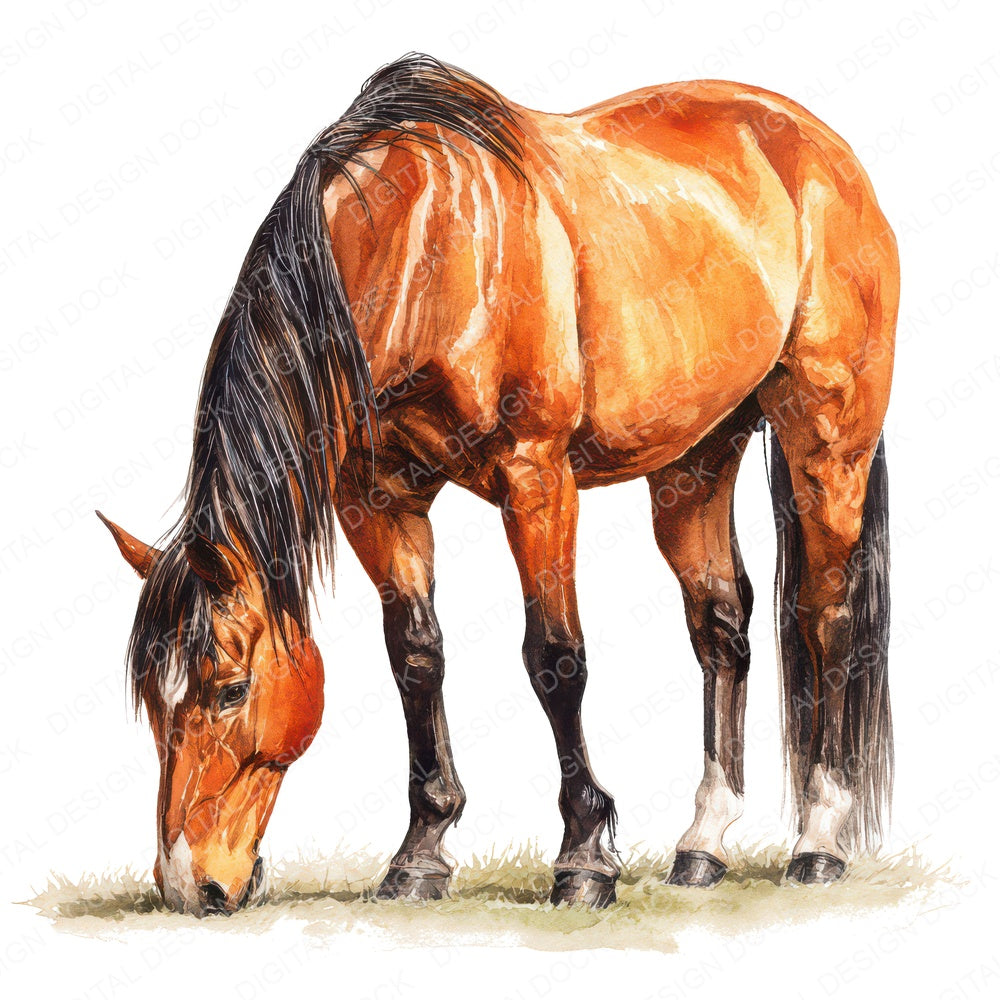 Realistic Horse Illustration fussy cut sheet in US Letter format showing all 12 designs on one printable page