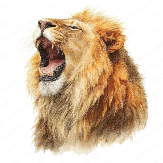 Realistic Lion Illustration Clipart Set (DDD008858)