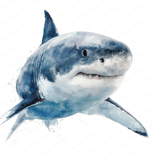 Realistic Shark Illustration Clipart Set (DDD008865)