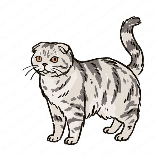 Single Scottish Fold Watercolour Cat clipart design shown full size