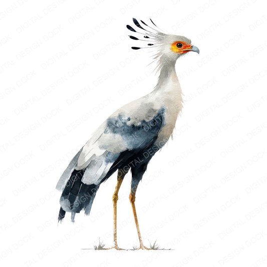 Secretary Exotic Bird Clipart Set (DDD008223)