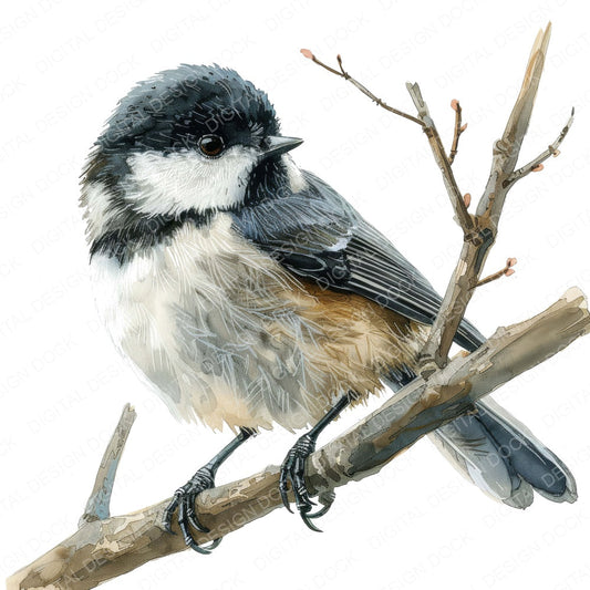 Small Chickadee fussy cut sheet in US Letter format showing all 12 designs on one printable page