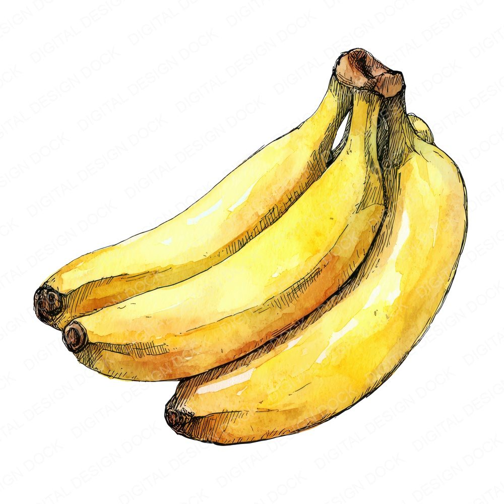 Watercolour Banana Bunch Clipart Set (DDD006975)
