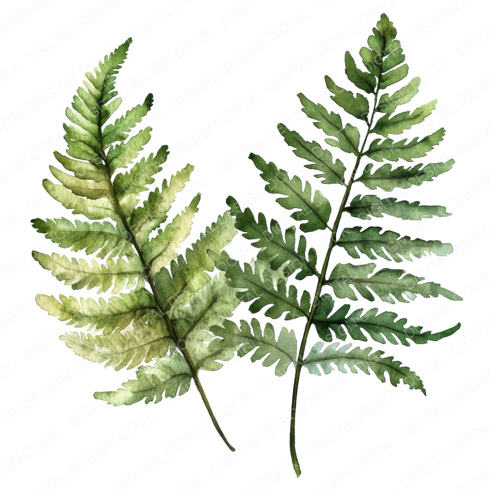 Watercolour Ferns fussy cut sheet in US Letter format showing all 12 designs on one printable page