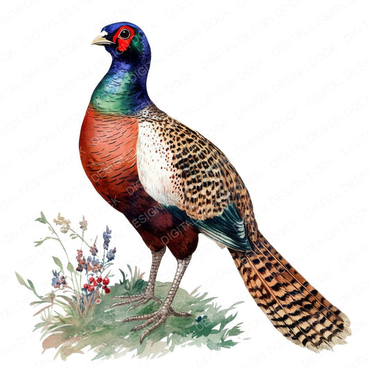 Watercolour Pheasant fussy cut sheet in US Letter format showing all 12 designs on one printable page