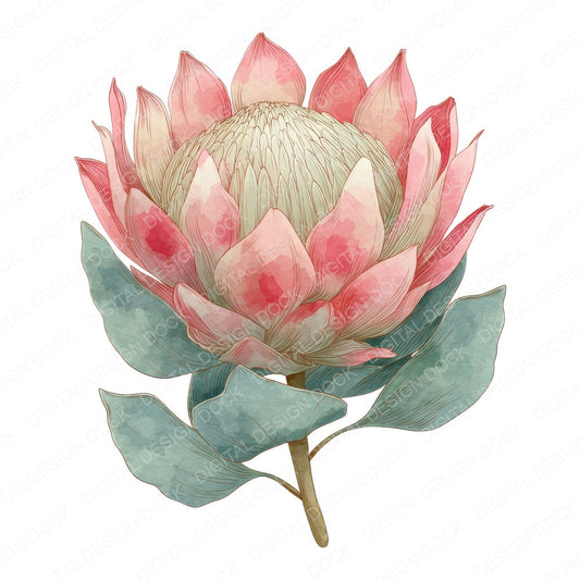 Watercolour Protea Flower fussy cut sheet in US Letter format showing all 12 designs on one printable page