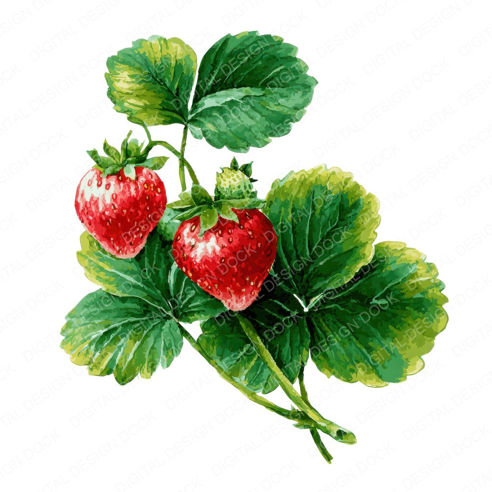 Watercolour Strawberry Plant fussy cut sheet in US Letter format showing all 12 designs on one printable page
