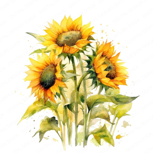 Watercolour Sunflower fussy cut sheet in US Letter format showing all 12 designs on one printable page