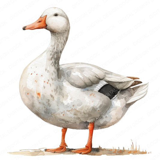 Watercolour White Duck fussy cut sheet in US Letter format showing all 12 designs on one printable page