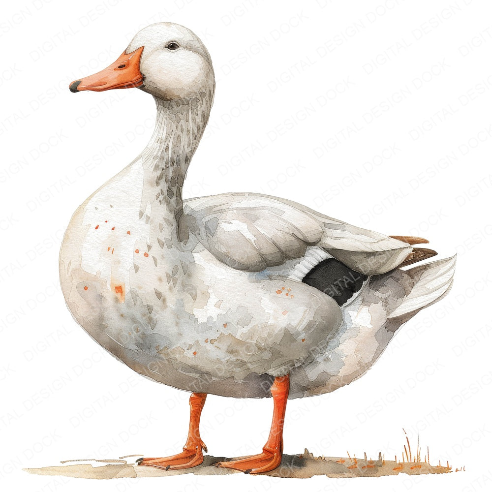 Watercolour White Duck fussy cut sheet in US Letter format showing all 12 designs on one printable page