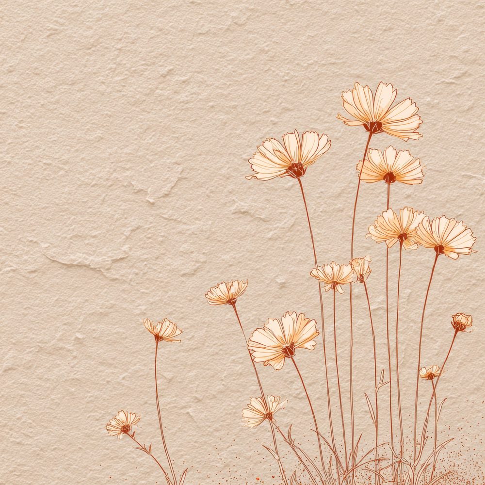 Apricot Chamomile Outline Background Digital Paper Pack (DDD000062)