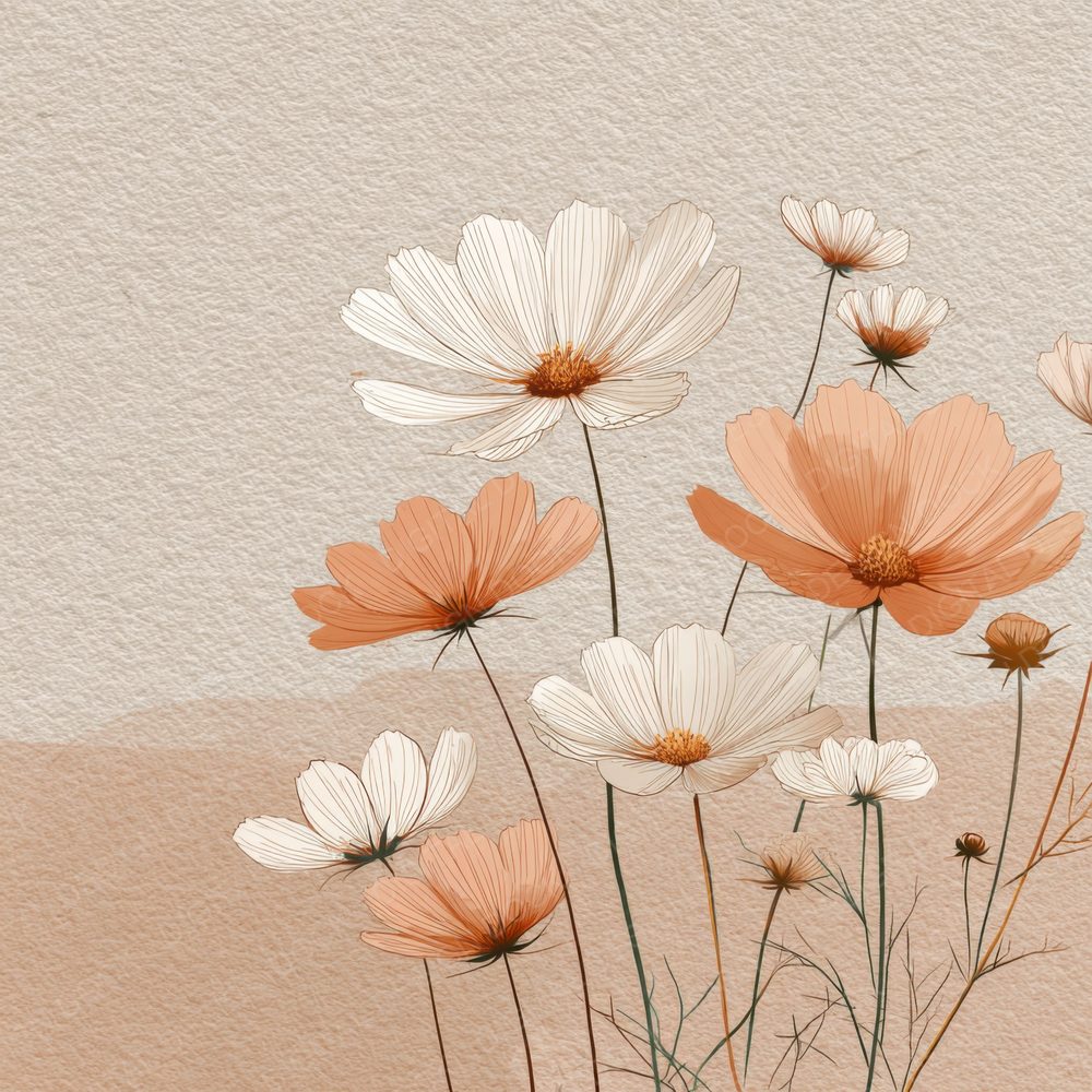 Peach Cosmos Outline Background Digital Paper Pack (DDD000075)