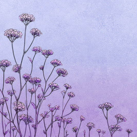 Lavender Verbena Outline Background Digital Paper Pack (DDD000092)