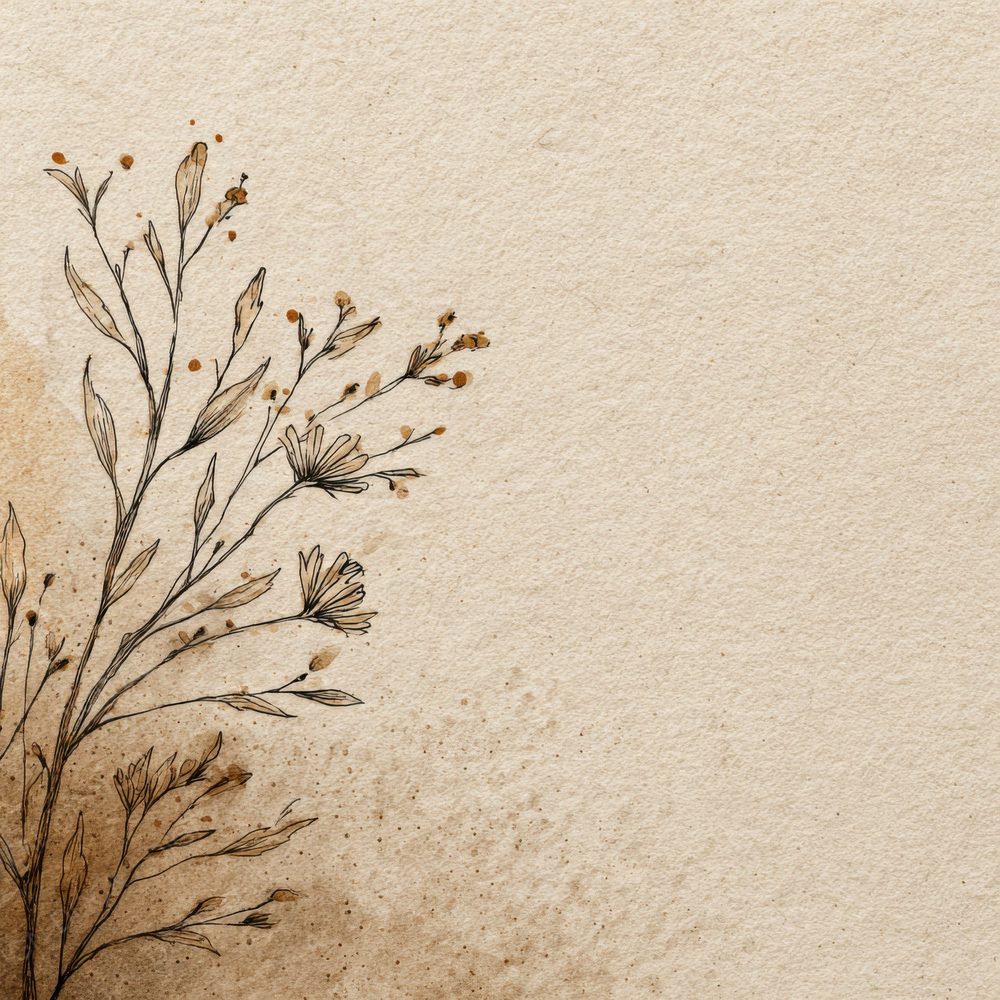 Oat Botanical Corner Ink Background Digital Paper Pack (DDD000215)