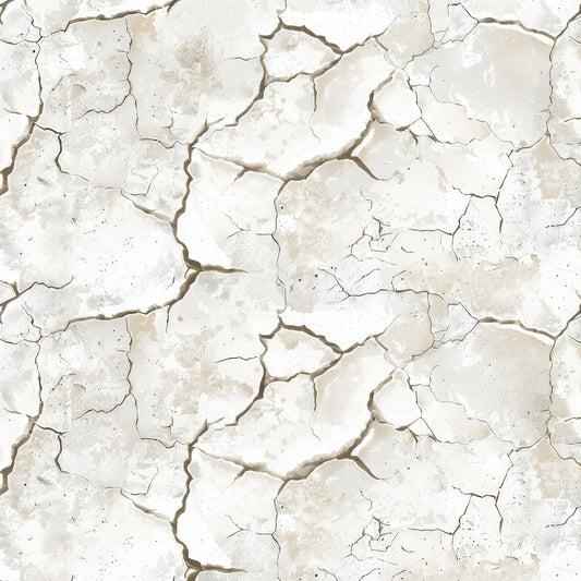 Cracked Desert Salt Flats Digital Paper Pack (DDD000428)