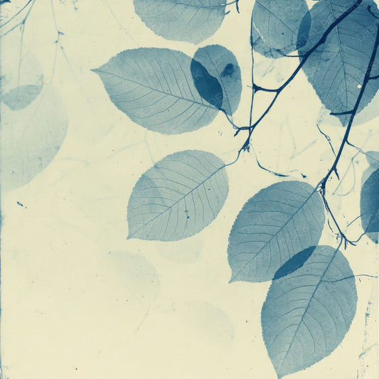 Cyanotype Leaf Film Digital Paper Pack (DDD000443)