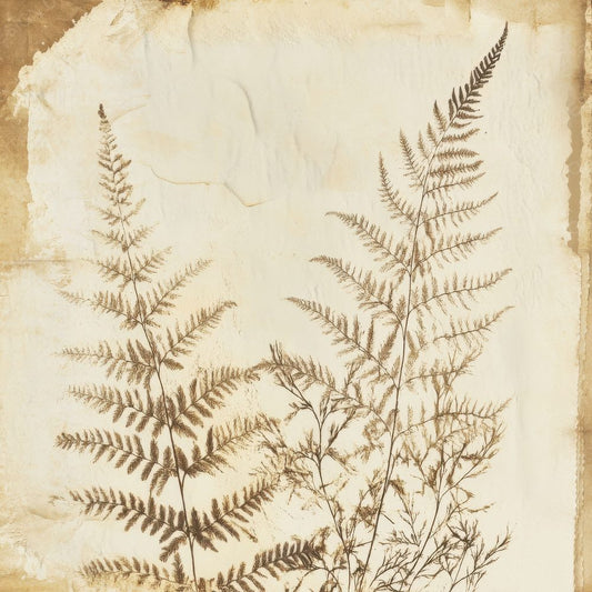 Dried Ferns Papyrus Digital Paper Pack (DDD000469)