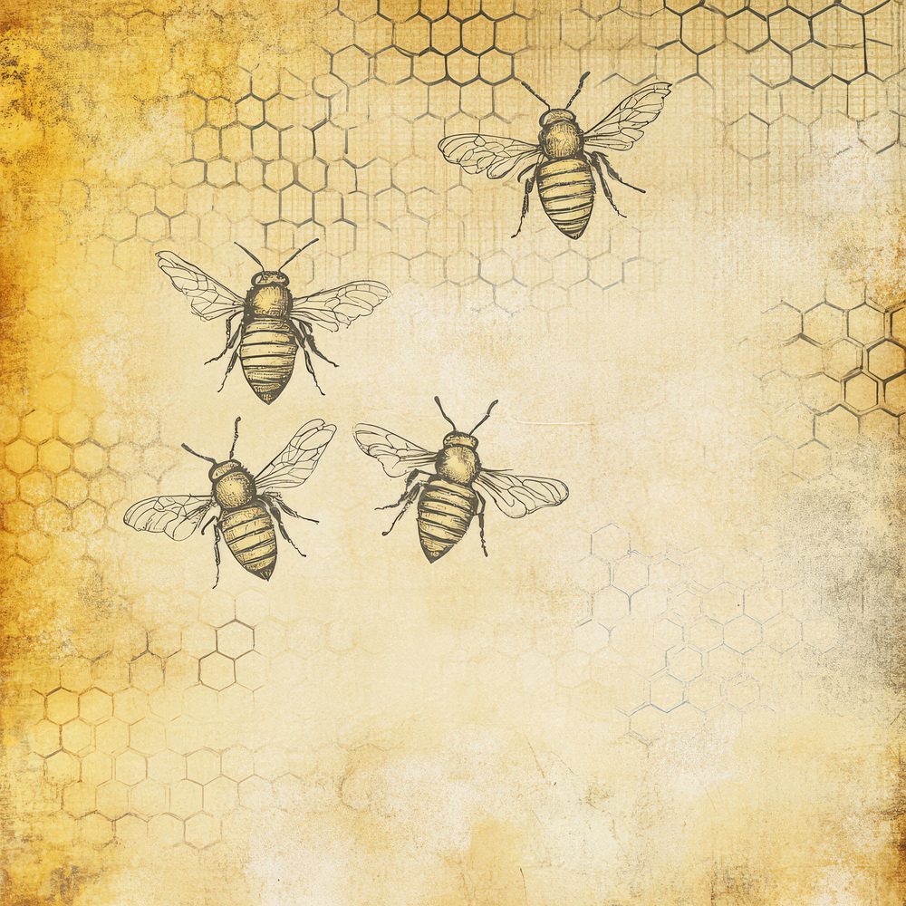 Honeycomb Bee outline Background Digital Paper Pack (DDD000555)