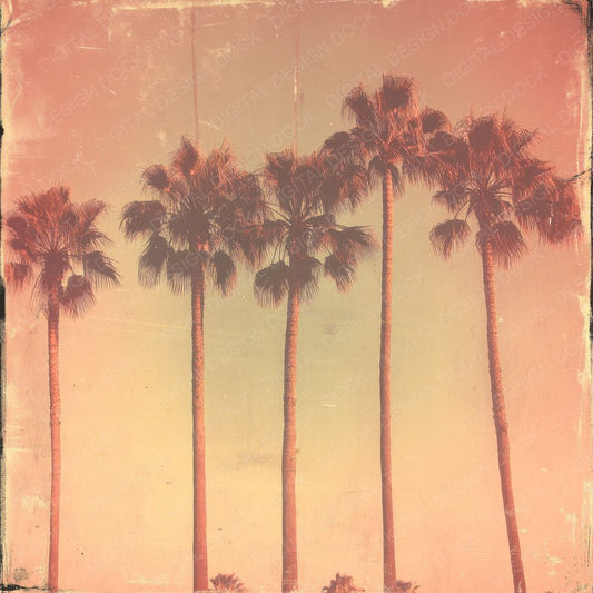 Faded Sunset Palms Digital Paper Pack (DDD001669)