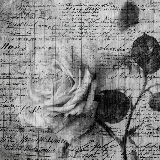 Film Flora Script Digital Paper Pack (DDD001704)
