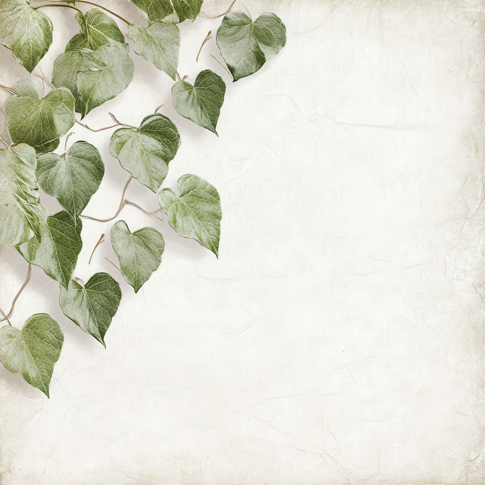 Heart Leaf Botanical Sketch Digital Paper Pack (DDD002001)