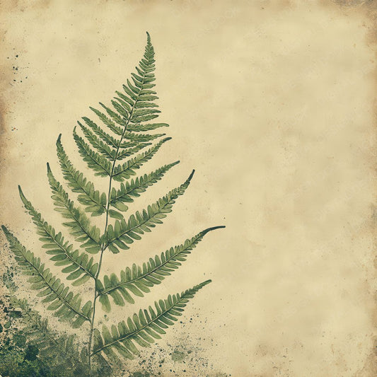 Pressed Fern Ink Shade Digital Paper Pack (DDD003068)