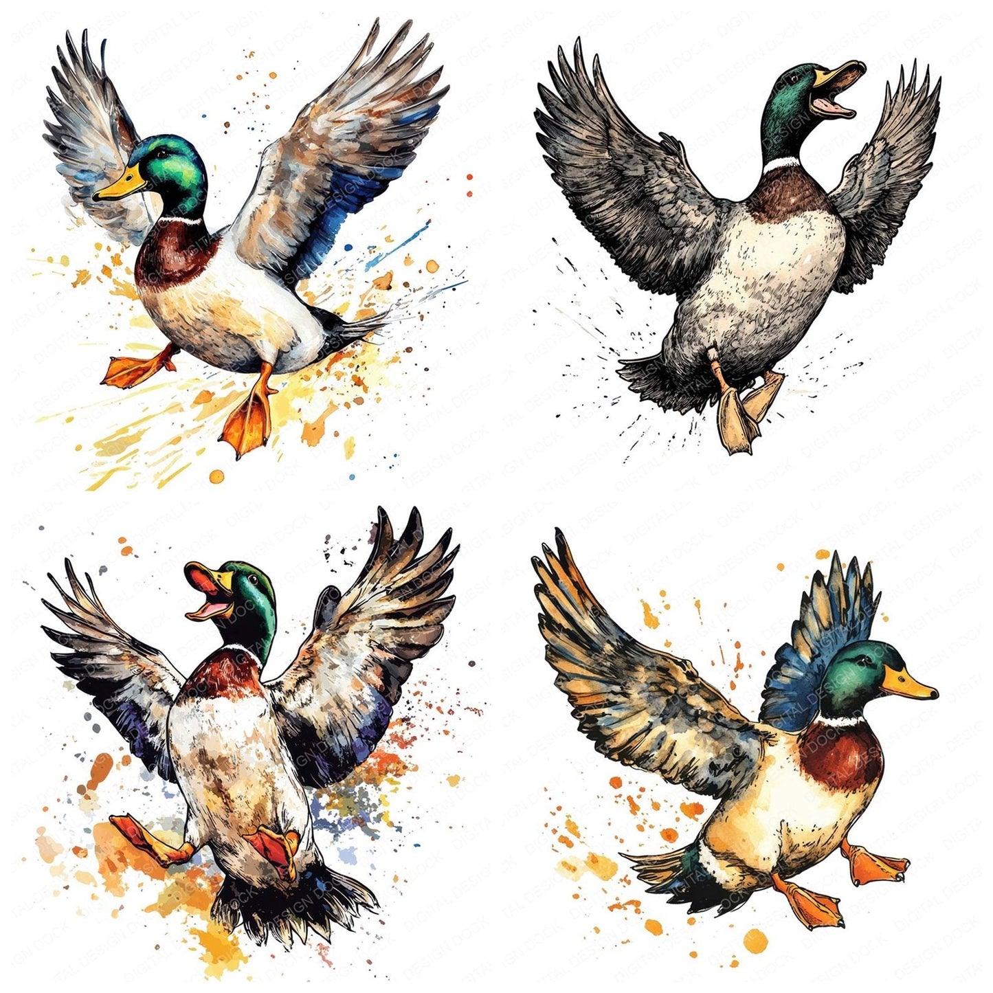 Animated Duck Clipart Set (DDD004580)