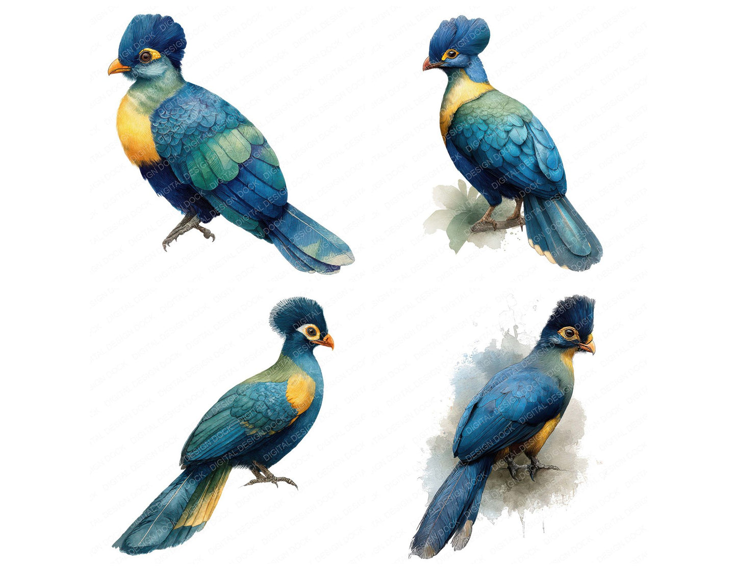 Great Blue Turaco Exotic Bird Clipart Set (DDD008211)
