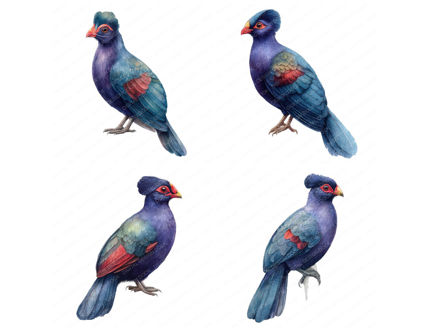 Violet Turaco Exotic Bird Clipart Set (DDD008226)