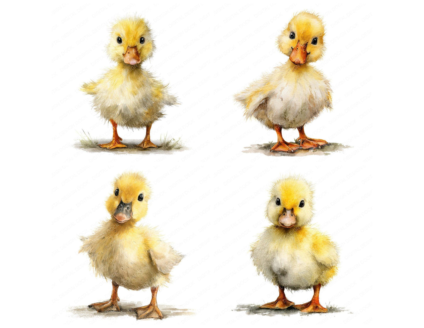 Cute Little Duckling Clipart Set (DDD008231)