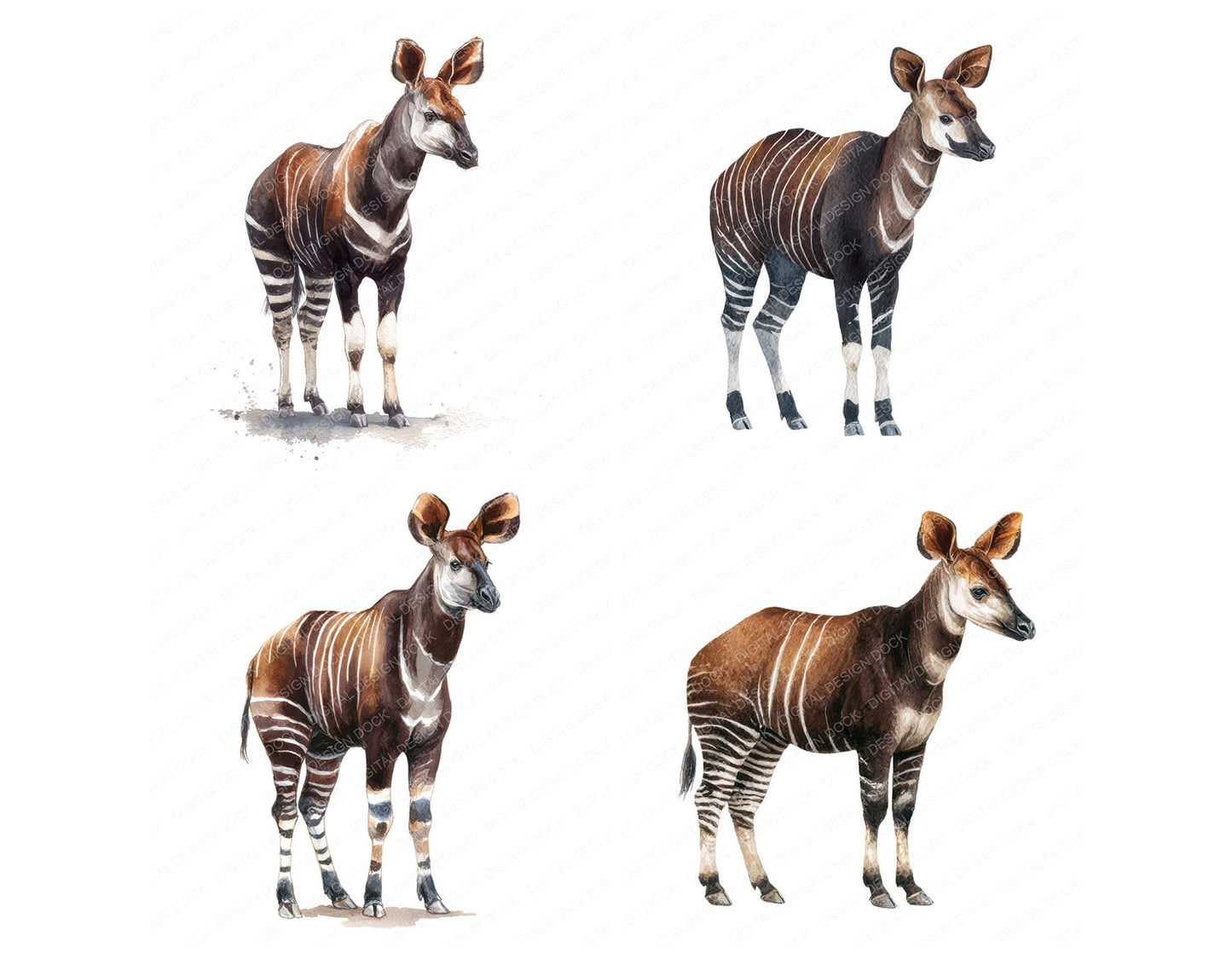 Okapi Exotic Animal Clipart Set (DDD008242)