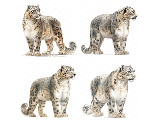 Preview layout showing Snow Leopard Exotic Animal clipart elements for scrapbooking, junk journals, and card making
