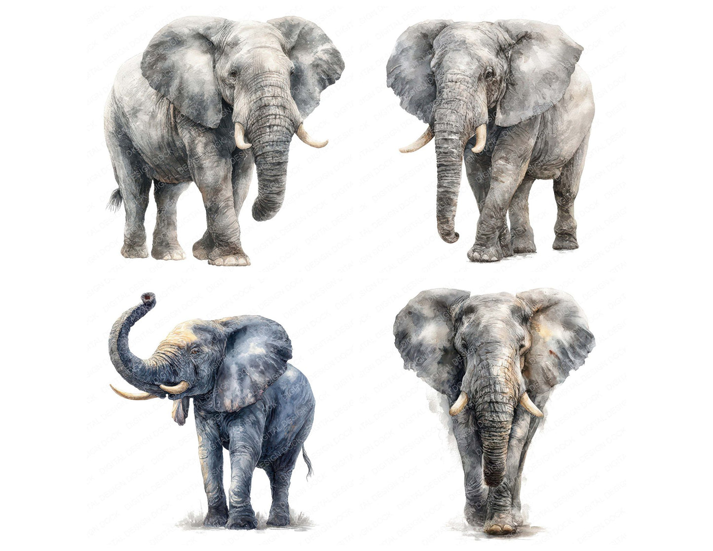 Realistic Elephant Illustration Clipart Set (DDD008851)