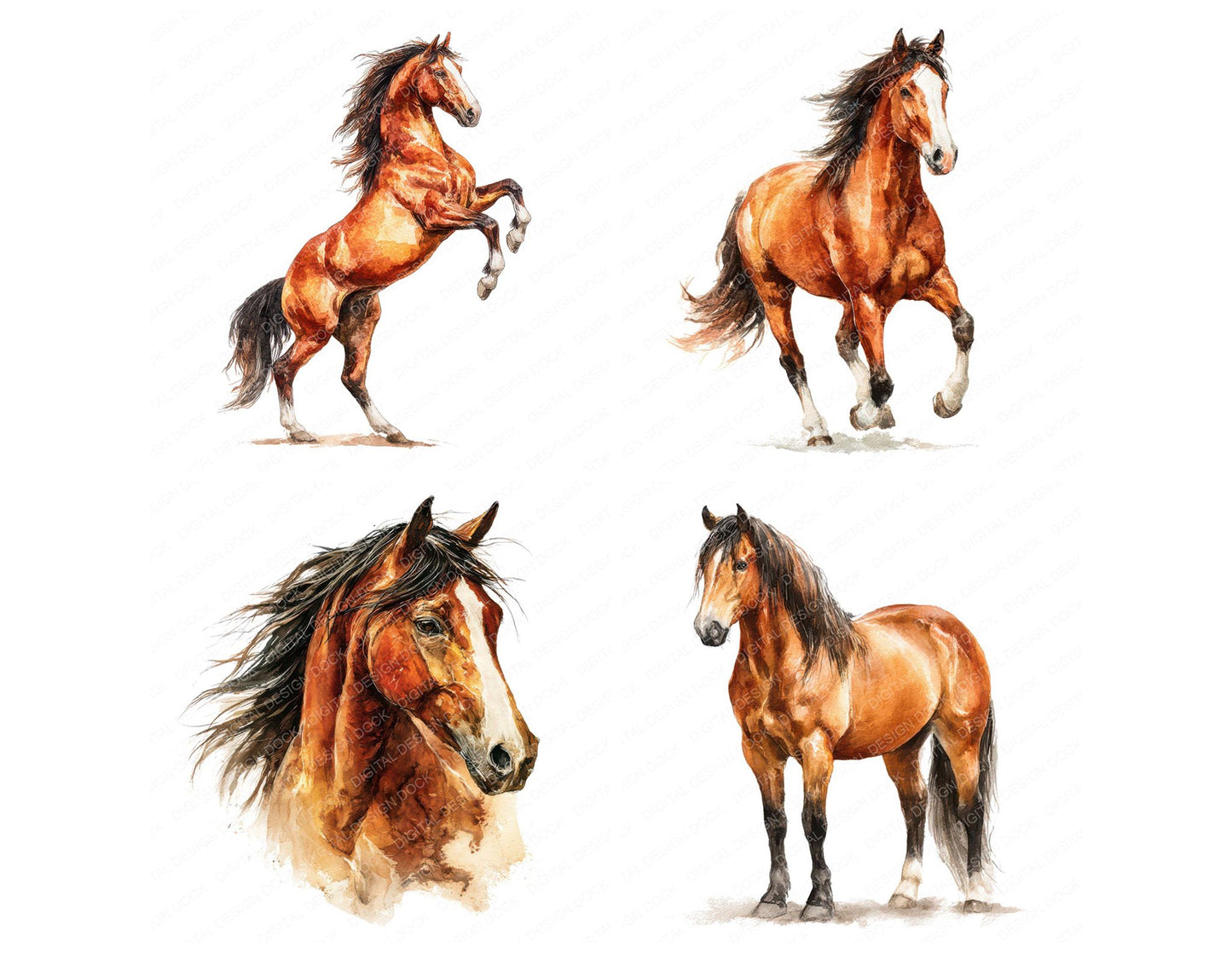 Realistic Horse Illustration Clipart Set (DDD008855)