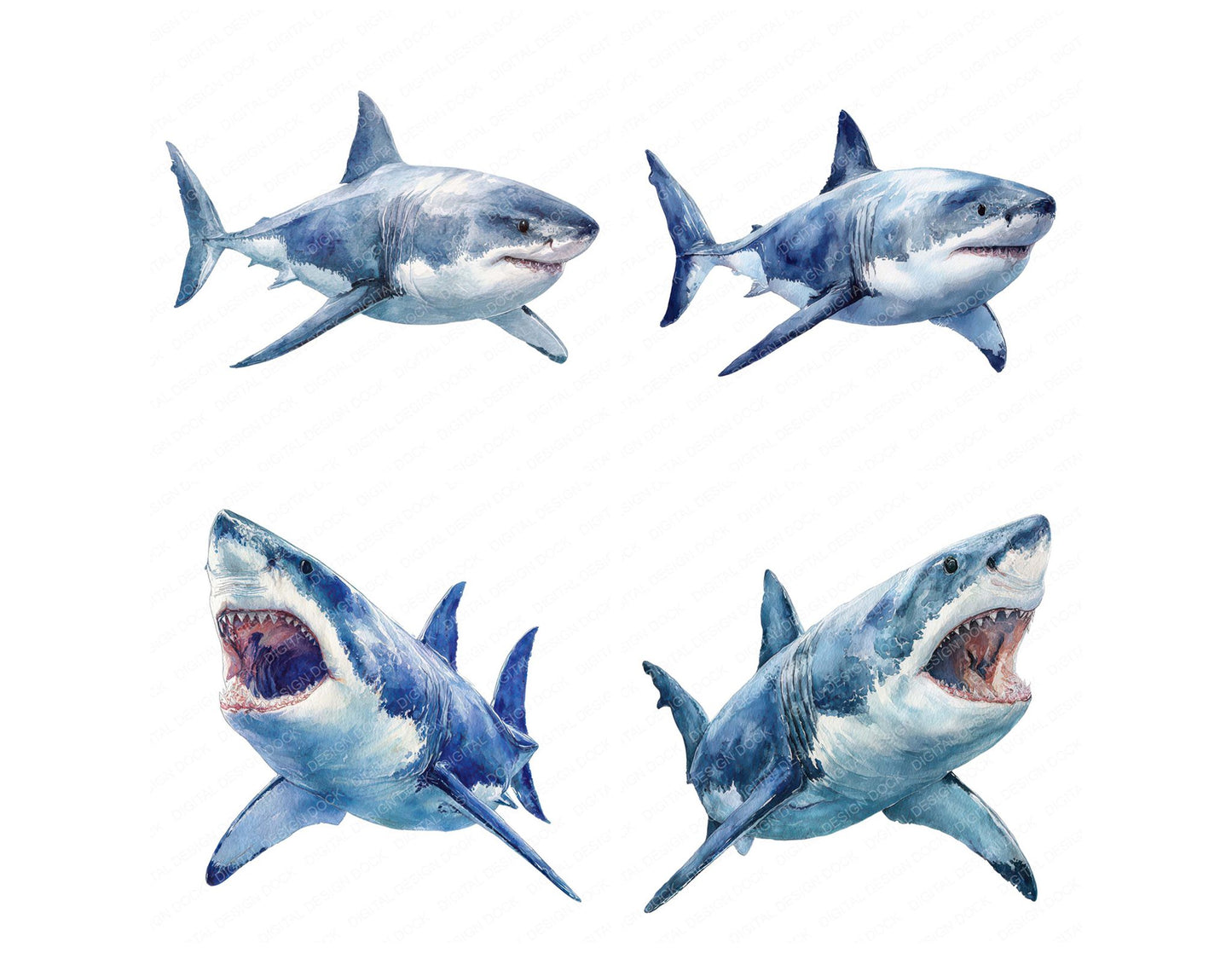 Realistic Shark Illustration Clipart Set (DDD008865)