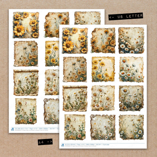 A4 and US Letter format comparison showing Aged with Border of Daisies fussy cut pages for print and cut crafting
