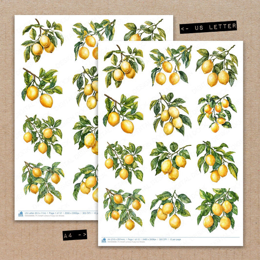 A4 and US Letter format comparison showing Amalfi Lemons fussy cut pages for print and cut crafting