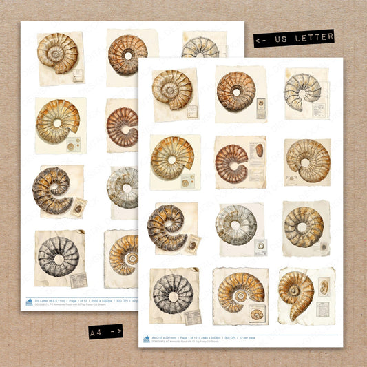 A4 and US Letter format comparison showing Ammonite Fossil with ID Tag fussy cut pages for print and cut crafting