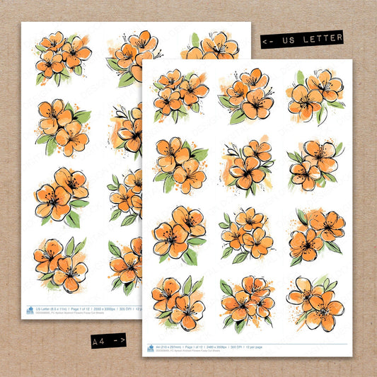 A4 and US Letter format comparison showing Apricot Abstract Flowers fussy cut pages for print and cut crafting