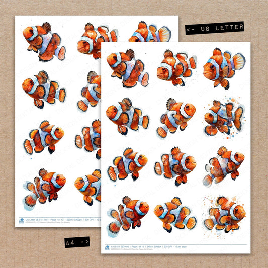Colourful Clownfish Fussy Cut Sheets (DDD009370)