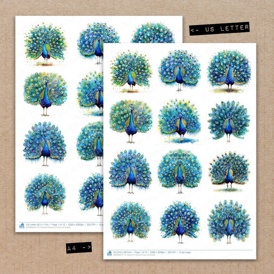 Colourful Peacock Fussy Cut Sheets (DDD009374)