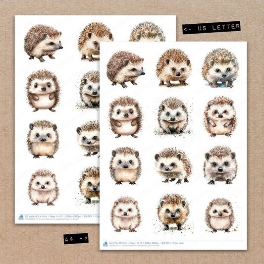 A4 and US Letter format comparison showing Curious Watercolour Hedgehog fussy cut pages for print and cut crafting