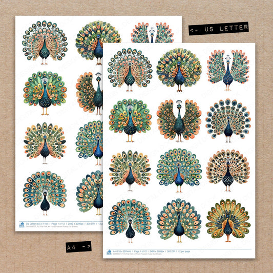 A4 and US Letter format comparison showing Flat Folk Art Front Peacock fussy cut pages for print and cut crafting