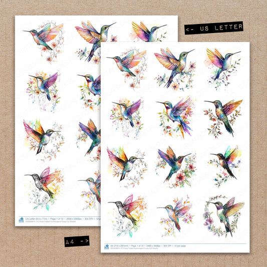 A4 and US Letter format comparison showing Floral Trailed Hummingbird fussy cut pages for print and cut crafting