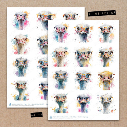 A4 and US Letter format comparison showing Funny Ostrich Portrait fussy cut pages for print and cut crafting