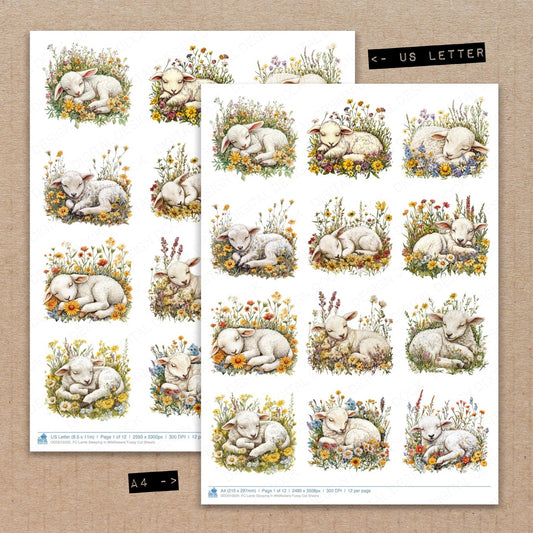 DDD010320_FC Lamb Sleeping in Wildflowers Fussy Cut Sheets